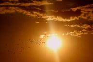 Как «сердечникам» пережить жару: советы кардиологов