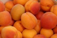 Полезные свойства абрикоса: мнение врачей