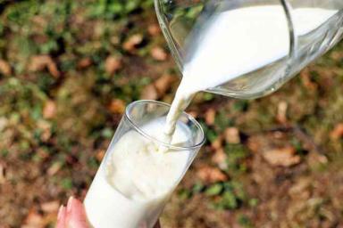 Роспотребнадзор дал советы по выбору качественного молока