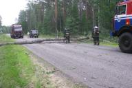 В Гомельской области повалены сотни деревьев. Пострадали десятки зданий и машин