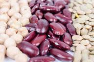 Диетологи: эти продукты никогда не отложатся в жир