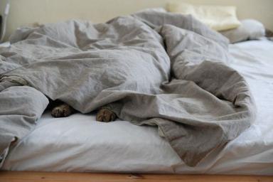 Эксперты рассказали о вреде старых подушек и одеял