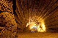 Белорусы планируют поставлять продукцию в Индию и дальше