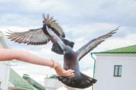 Названы знаки судьбы, которые лучше не игнорировать 