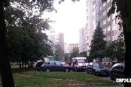 В Гомеле произошла утечка газа в квартире: погибли две кошки