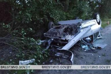 В Барановичском районе Renault врезался в опору ЛЭП: водителя и пассажира выбросило через лобовое стекло