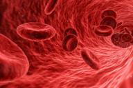 Ученые обнаружили бактерию, способную менять группу крови