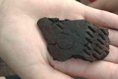 В Жлобинском районе археологи обнаружили предметы быта людей каменного века