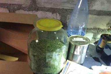 Житель Минского района хотел заработать, выращивая коноплю в гараже. Теперь ему светит срок