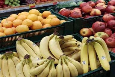 Беларусь предлагает Испании организовать совместные предприятия по переработке овощей и фруктов