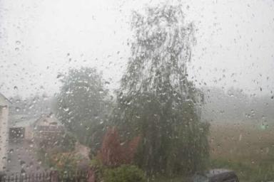 Погода в Беларуси на 18 июля 2019 года: грозы и сильный дождь