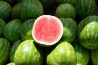 В Роскачестве рассказали, как выбрать самый сладкий арбуз