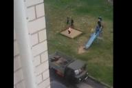 В Петрикове отлов среди дня отстреливает собак: дети наблюдают, жители возмущаются