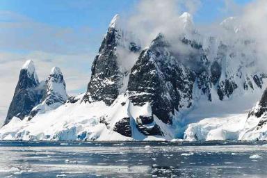  В Антарктиде ученые обнаружили загадочные мертвые организмы