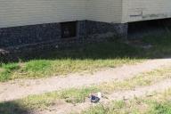 Вора в Бресте нашли по упаковке от семечек