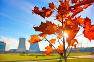 На БелАЭС произошли изменения: они затронули всю страну