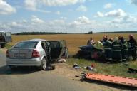 Жуткое ДТП под Слонимом: 4 ребенка пострадали, 2 женщины и мужчин