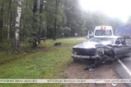 В Полоцком районе автоледи въехала в придорожное дерево