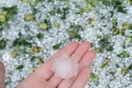 В Минской области выпал сильный град: засыпаны улицы, разбиты окна, на деревьях не осталось листьев