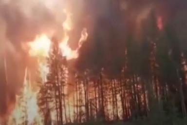 Жуткое видео: российские пожарные едут через горящий сибирский лес