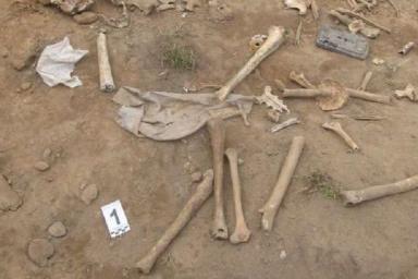 В Орше на детской площадке лежат человеческие останки