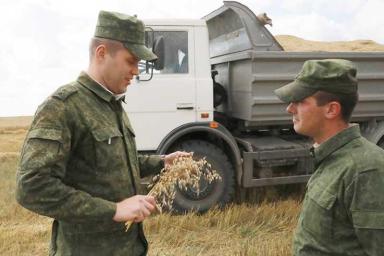 В Могилевской области на уборку зерна вывели... военных