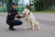 Белорусской милиции подарили алабая по кличке Жархан