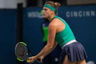 Соболенко проиграла в финале турнира в Сан-Хосе