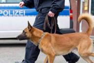 Злой нелегал покусал собаку и полицейского 