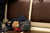 Кот в наушниках в московском метро рассорил пользователей сети