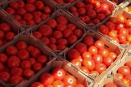 МАРТ рассказал населению, куда девать излишки помидоров