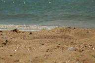 Очередное ЧП на объекте Минобороны России: два человека погибли, закрыт район Белого моря 