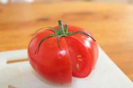 Томаты: как собрать и подготовить семена на следующий сезон