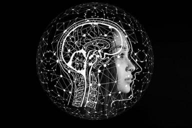 Ученые установили, что черты характера влияют на деятельность мозга