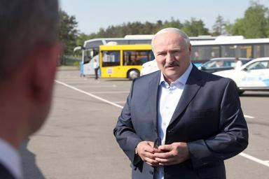 «За это ответят все». Лукашенко пообещал жесткие меры за массовый падеж скота
