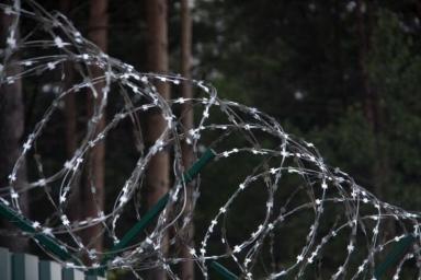 Более 260 осужденных освобождены из мест лишения свободы с начала амнистии