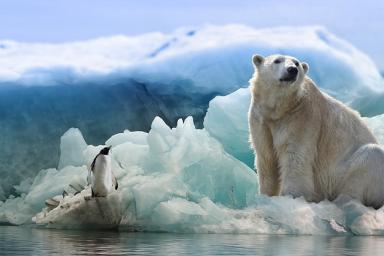 Пластик нашли в нетронутых льдах Арктики