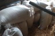 Дерзкий налет под Могилевом: 1100 кг добычи увезли на телеге 