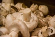 Отравление грибами: в Беларуси пострадали более 30 человек