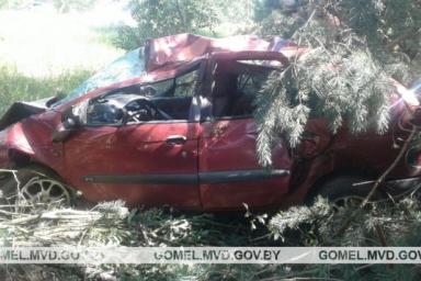 Под Калинковичами «Рено» влетел в дерево – водитель погиб