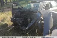 В Петриковском районе Audi влетела в дерево: пострадали два человека