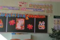 «Финансовая сторона вопроса меня не особо интересует». Молодой специалист рассказывает о начале работы в школе