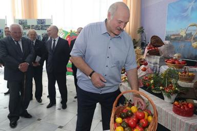 «Не знаю, буду ли я драться с вами на помидорах этих». Лукашенко пообещал приехать в Ивье на помидорный фэст