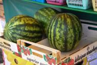 Арбузы с обочин, отсутствие документов: КГК выявил нарушения в розничной торговле в Минской области