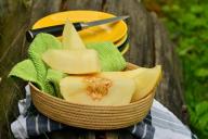 Диетолог назвала полезные свойства дыни