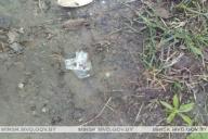 Минчанин пытался съесть сверток с гашишем при встрече с правоохранителями