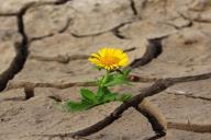 Ученые назвали простой способ продлить жизнь