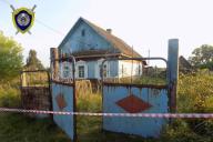 Убили, спрятали тело и хотели избавиться: в СК рассказали подробности убийства в Глусском районе