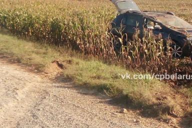 ДТП в Ивацевичском районе: авто оказалось в кукурузном поле