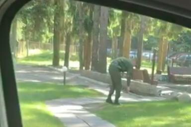 В Сети разместили кадры, как белорусский солдат стрижет траву канцелярскими ножницами